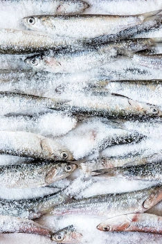 Peste și Fructe de Mare Congelate