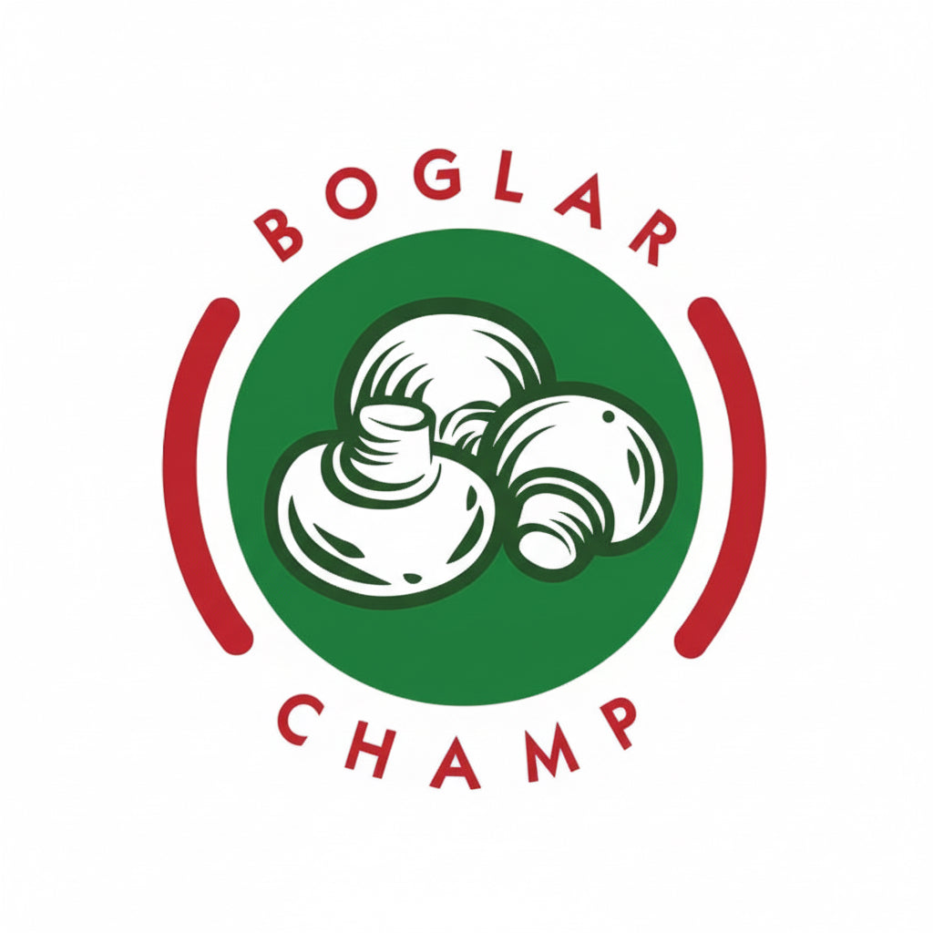 Boglar Champ