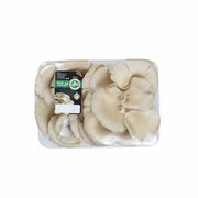 Ciuperci Pleurotus 500g