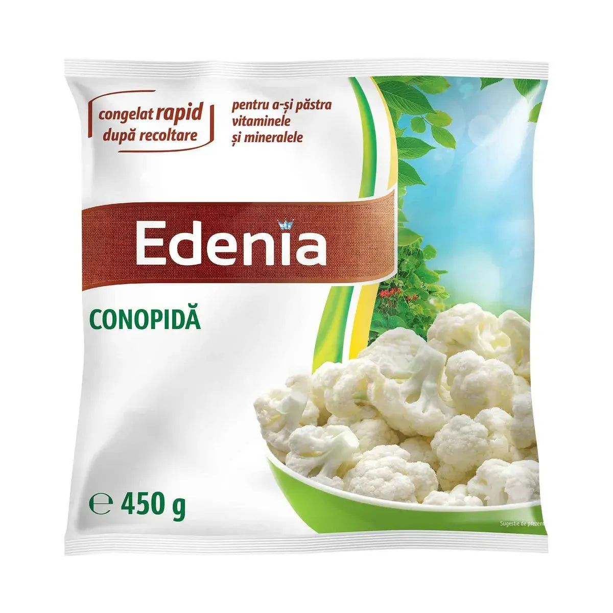 Edenia Conopida