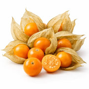 Physalis Caserola