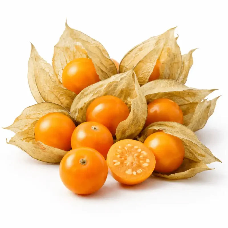 Physalis Caserola