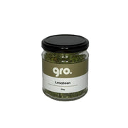 Gro. Leustean