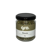 Gro. Busuioc