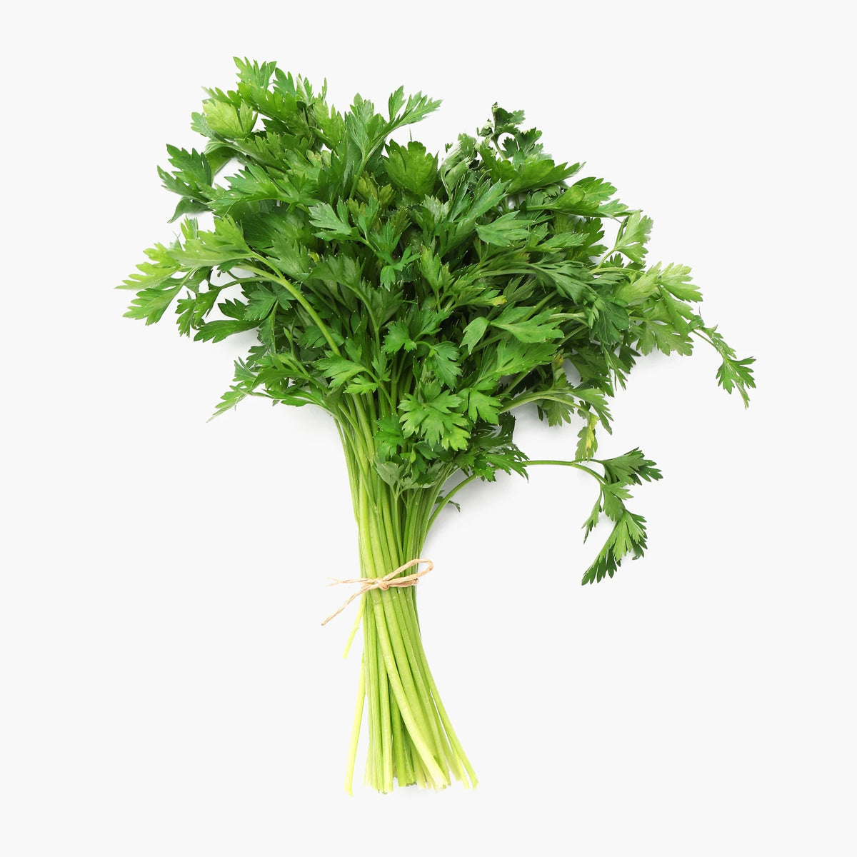 Pătrunjel Verde Legătură