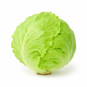 Salata Iceberg