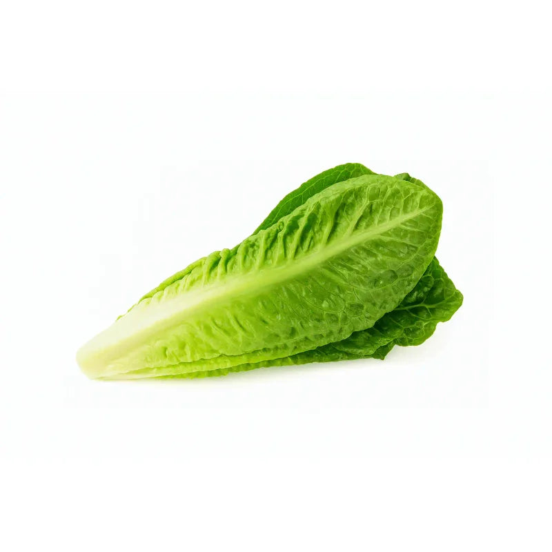 Salata Romana