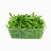 Rucola