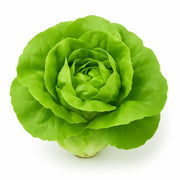 Salata Verde Romania