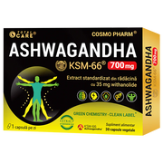 KSM 66 Ashwagandha 700mg 30 capsule