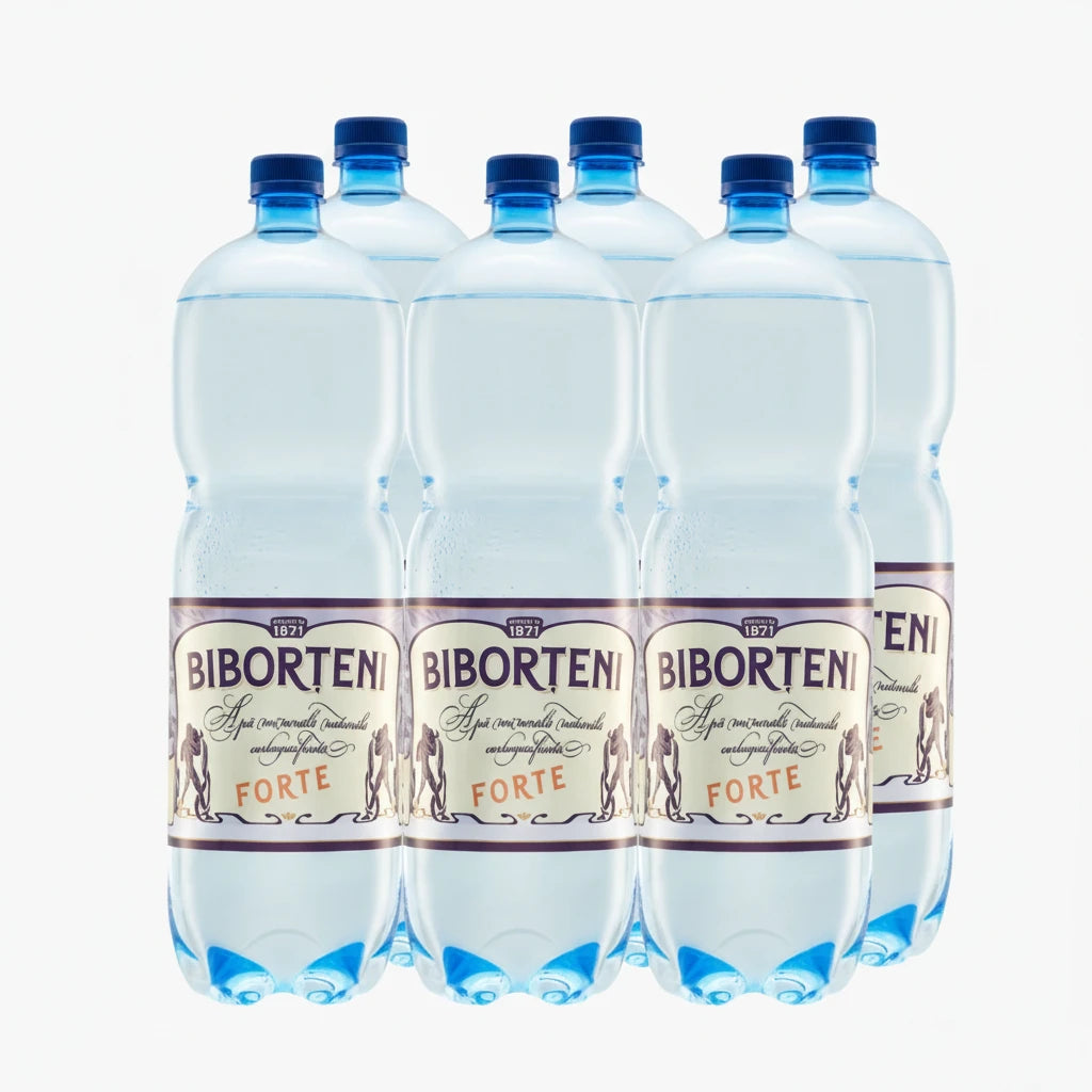 BIBORTENI Apa Minerala Carbogazoasa Forte 6 x 2L