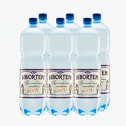 BIBORTENI Apa Minerala Carbogazoasa Forte 6 x 2L