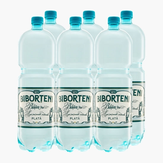 BIBORTENI Apa Minerala Plata 6 x 2L