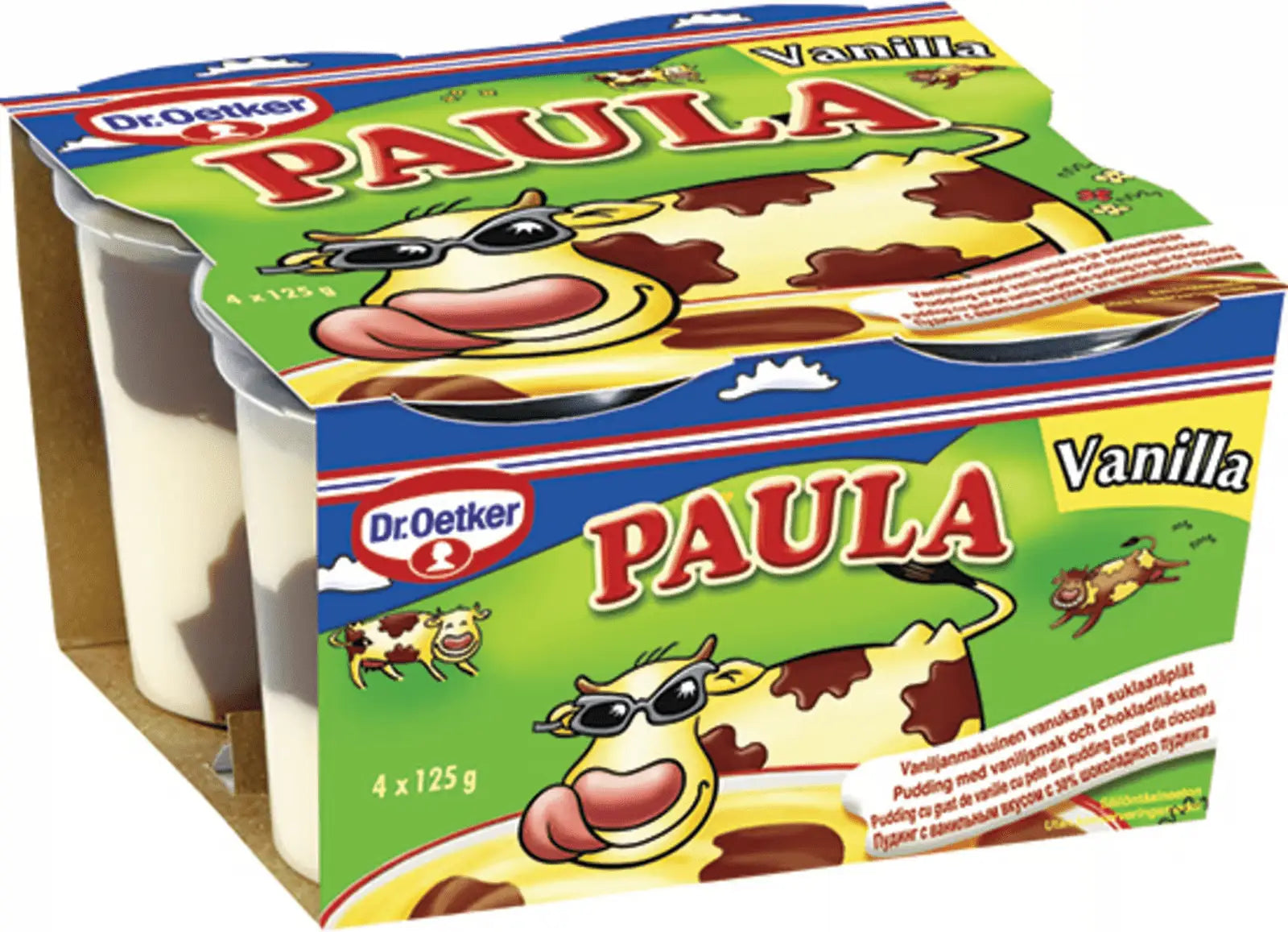 Dr.Oetker Paula Budinca cu gust de vanilie si pete de ciocolata, 4 x 125 g