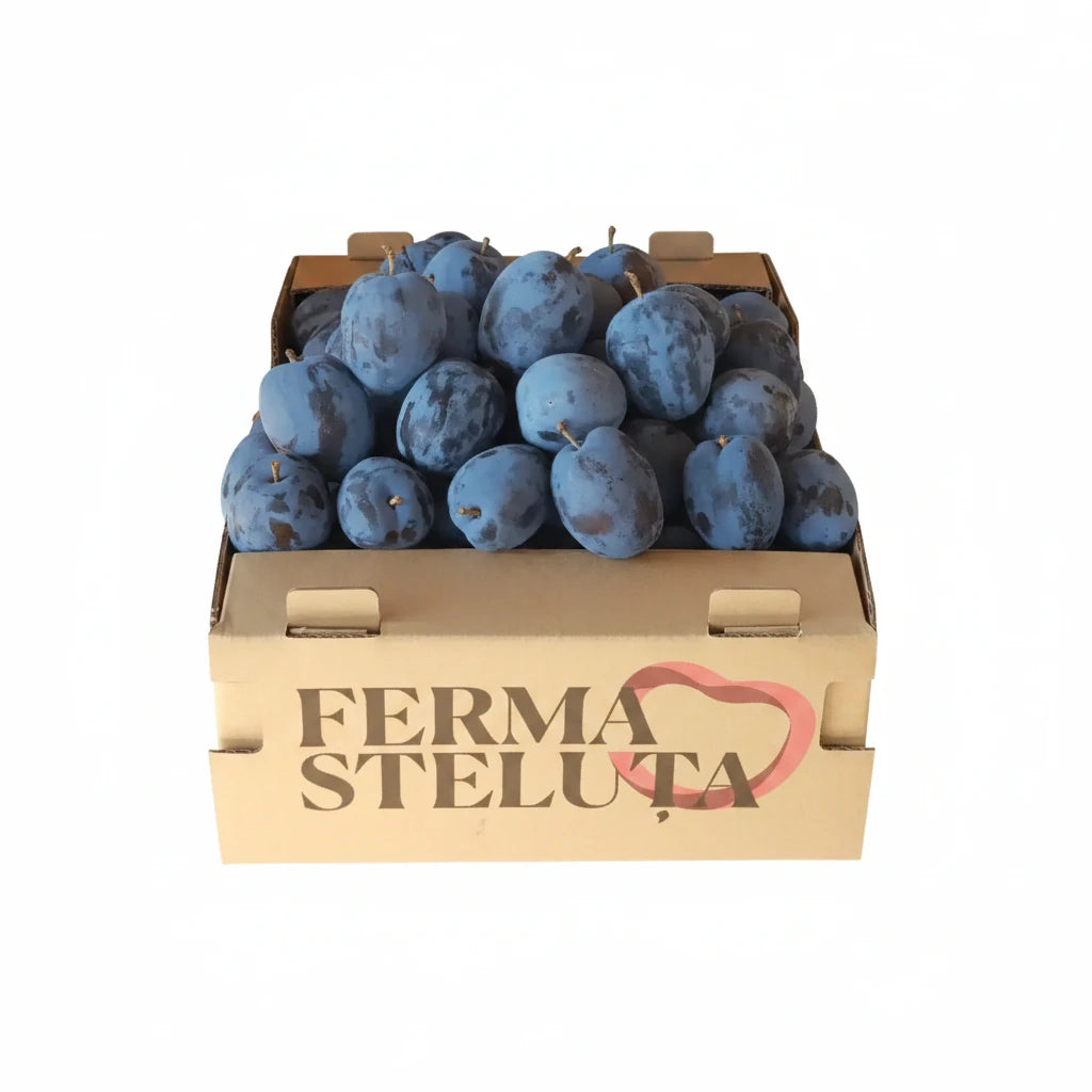 Ferma Steluta Prune Caserola 1kg